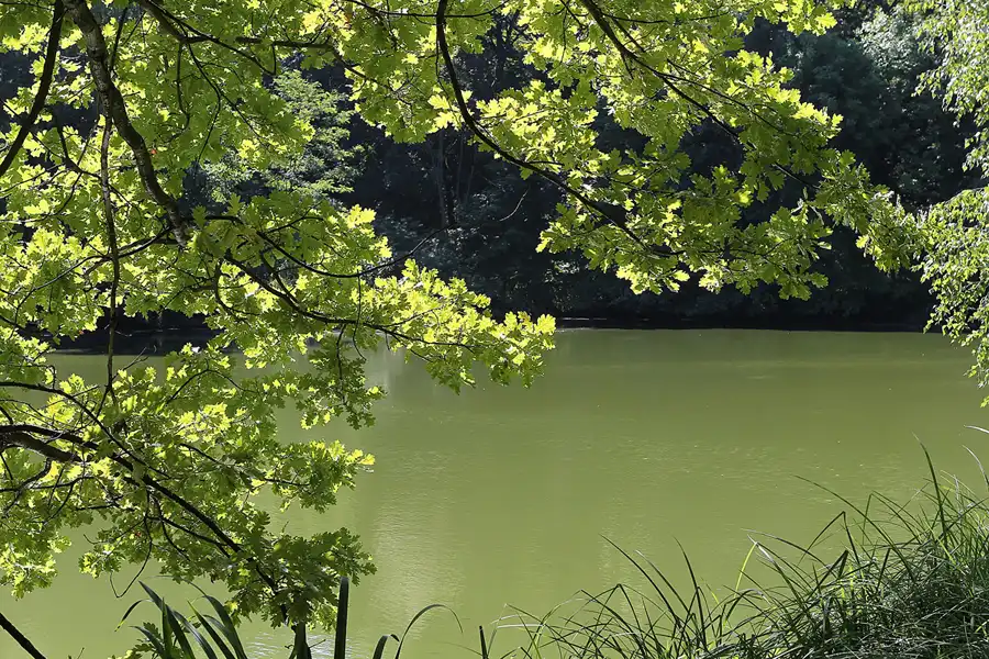 068 | 2013 | Berlin | Waldfriedhof Heerstrasse – Sausuhlensee | © carsten riede fotografie