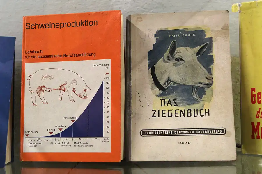 070 | 2013 | Pirna | DDR-Museum | © carsten riede fotografie