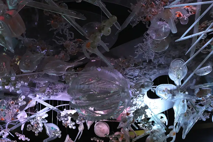 004 | 2013 | Stralsund | Ozeaneum | © carsten riede fotografie