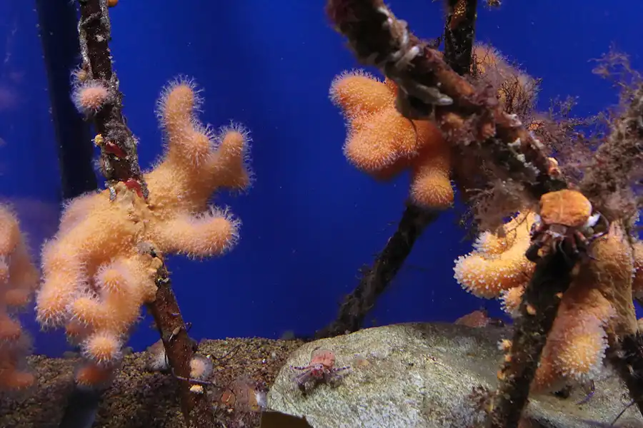 010 | 2013 | Stralsund | Ozeaneum | © carsten riede fotografie