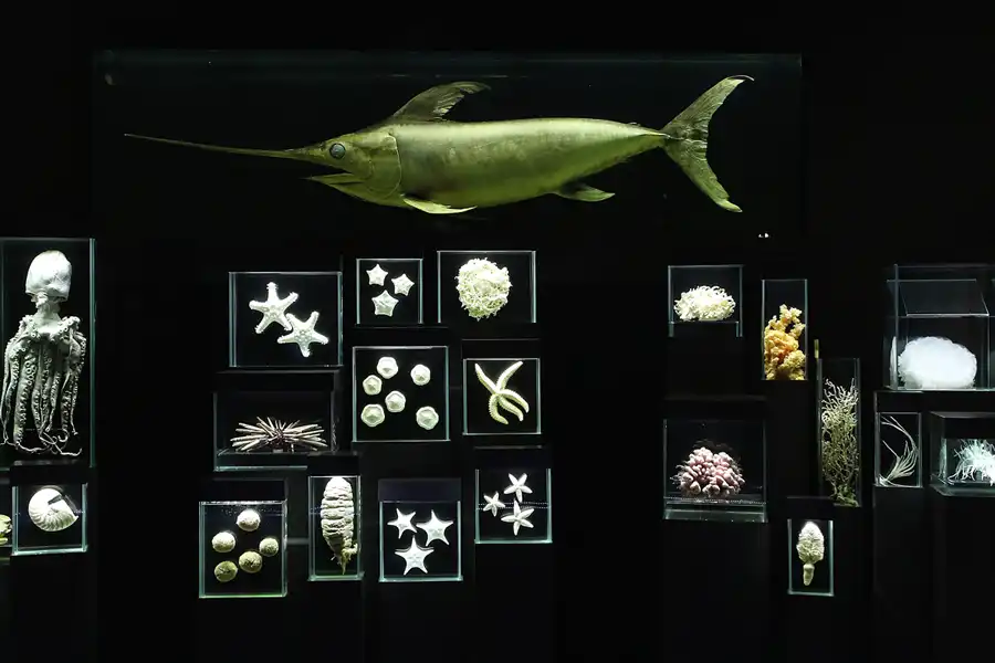 013 | 2013 | Stralsund | Ozeaneum | © carsten riede fotografie