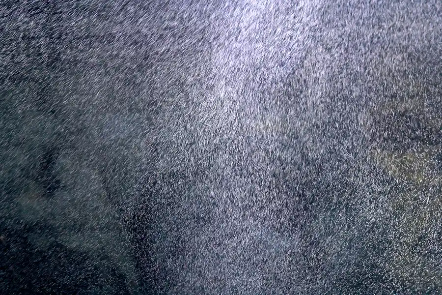 015 | 2013 | Stralsund | Ozeaneum | © carsten riede fotografie