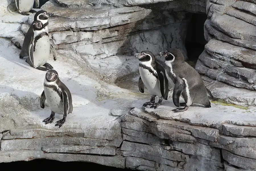 016 | 2013 | Stralsund | Ozeaneum | © carsten riede fotografie
