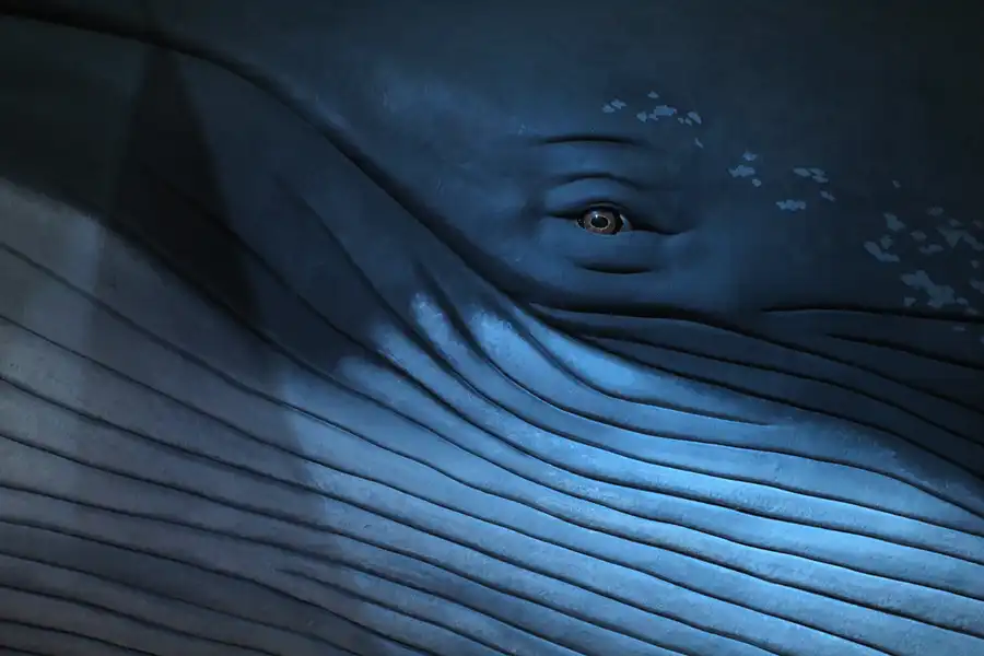 018 | 2013 | Stralsund | Ozeaneum | © carsten riede fotografie