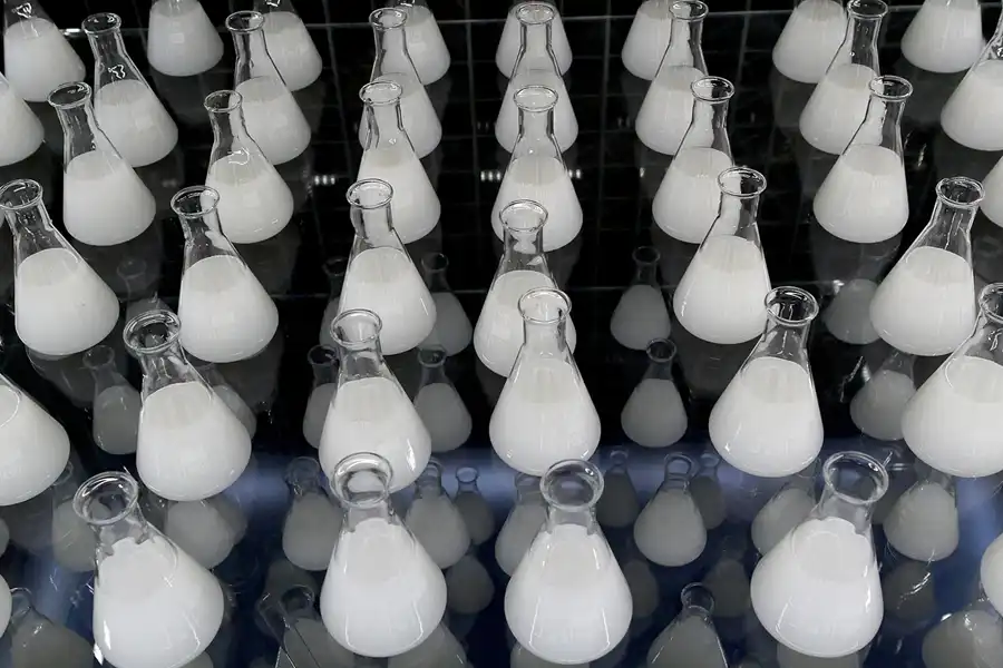 019 | 2013 | Stralsund | Ozeaneum | © carsten riede fotografie