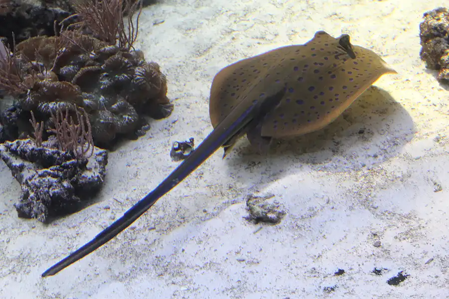 026 | 2013 | Stralsund | Meeresmuseum | © carsten riede fotografie