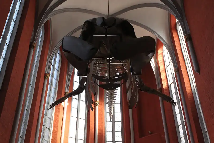 031 | 2013 | Stralsund | Meeresmuseum | © carsten riede fotografie