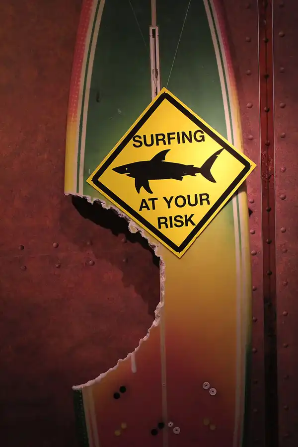 035 | 2013 | Stralsund | Meeresmuseum | © carsten riede fotografie