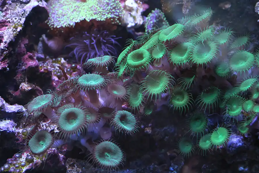 038 | 2013 | Stralsund | Meeresmuseum | © carsten riede fotografie