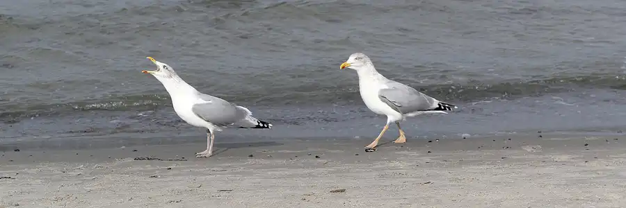 073 | 2013 | Rostock-Warnemünde | © carsten riede fotografie