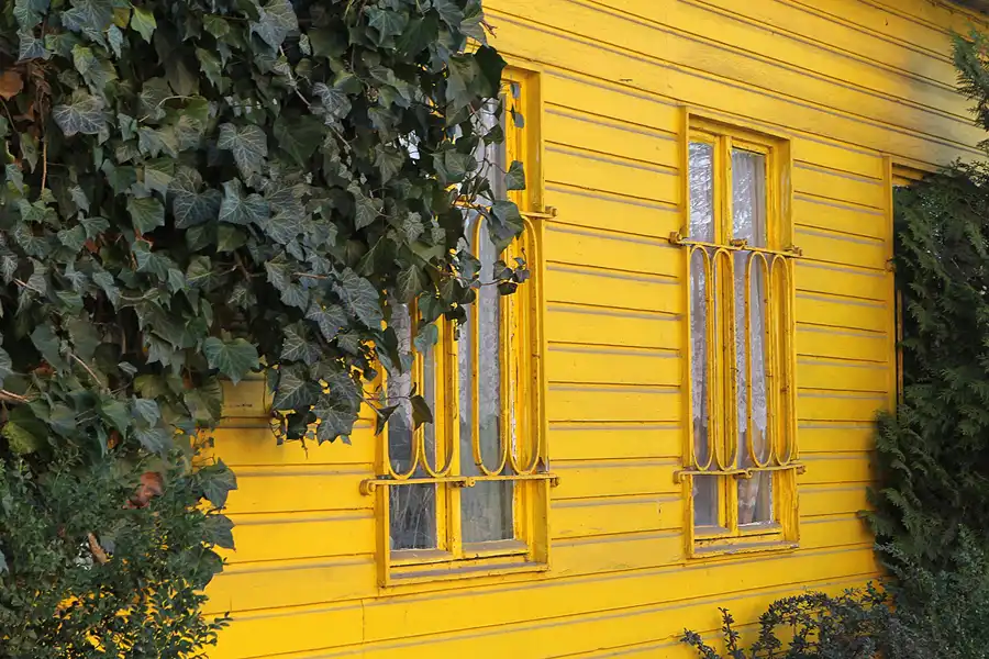 018 | 2014 | Berlin | Rund um das NSG Fauler See | © carsten riede fotografie