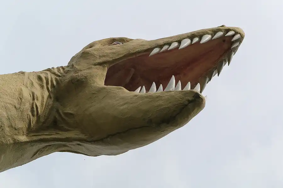 100 | 2014 | Kleinwelka | Saurierpark | © carsten riede fotografie