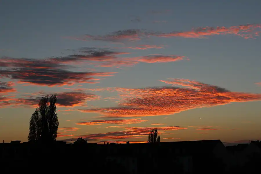 196 | 2014 | Berlin | © carsten riede fotografie