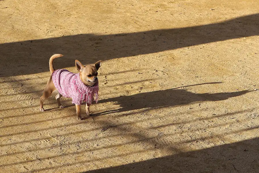 107 | 2014 | Ronda | © carsten riede fotografie