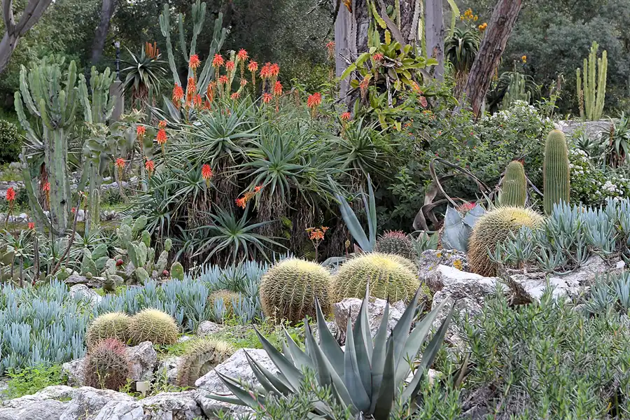 006 | 2014 | Gibraltar | © carsten riede fotografie