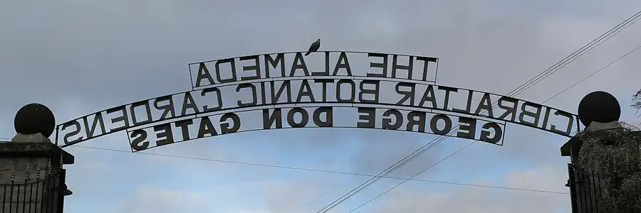 009 | 2014 | Gibraltar | © carsten riede fotografie