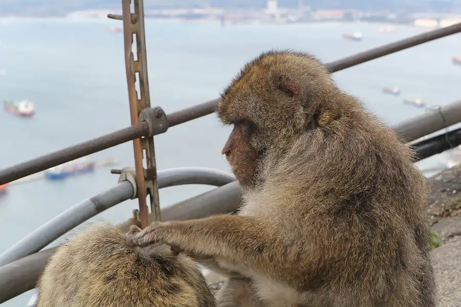 023 | 2014 | Gibraltar | © carsten riede fotografie