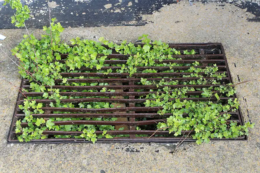 018 | 2014 | Hohenlychen | Heilanstalten Hohenlychen | © carsten riede fotografie