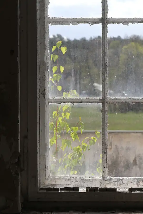 036 | 2014 | Hohenlychen | Heilanstalten Hohenlychen | © carsten riede fotografie