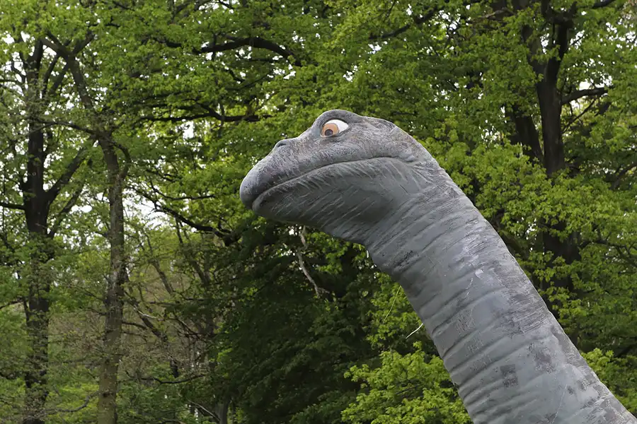 005 | 2014 | Berlin | Spreepark | © carsten riede fotografie