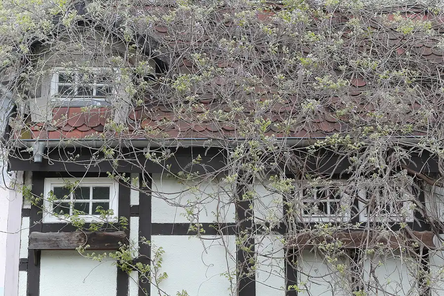 094 | 2014 | Berlin | Spreepark | © carsten riede fotografie