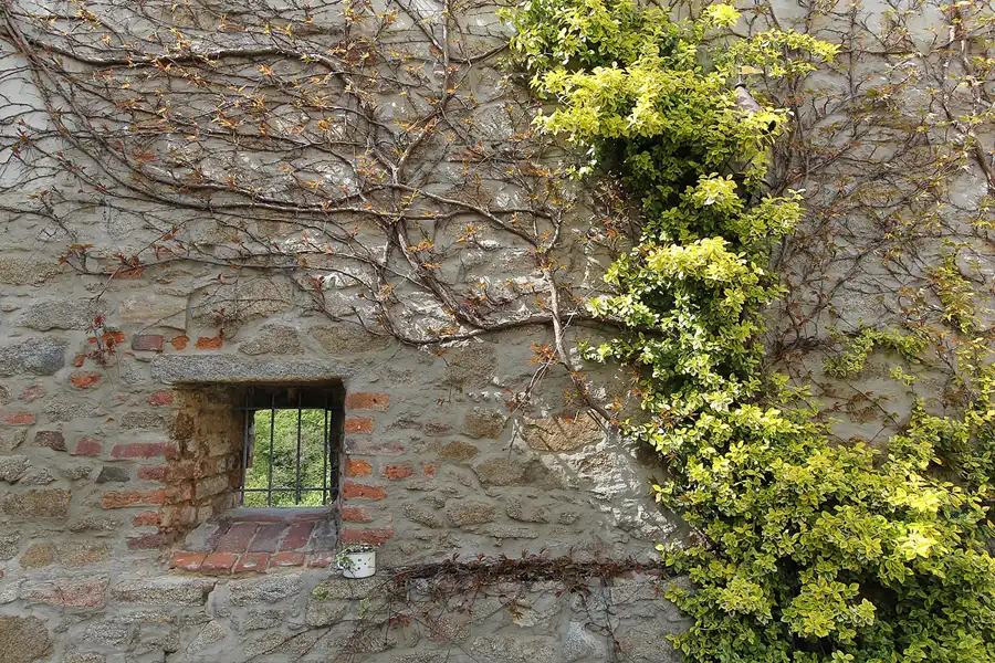 023 | 2014 | Bautzen | © carsten riede fotografie