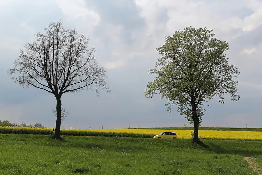 057 | 2014 | Bautzen | © carsten riede fotografie