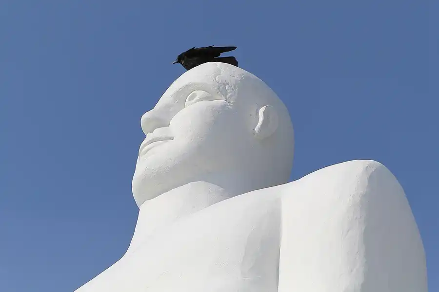 029 | 2014 | Esbjerg | Mennesket ved Haved | © carsten riede fotografie