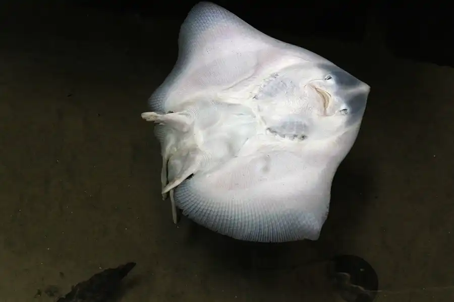 092 | 2014 | Thyboron | Jyllands Akvariet | © carsten riede fotografie