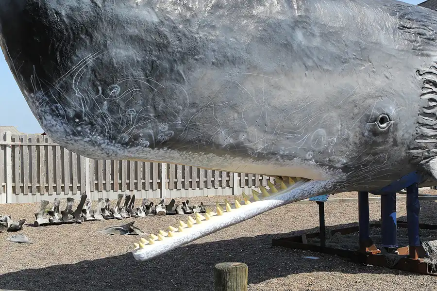 094 | 2014 | Thyboron | Jyllands Akvariet | © carsten riede fotografie