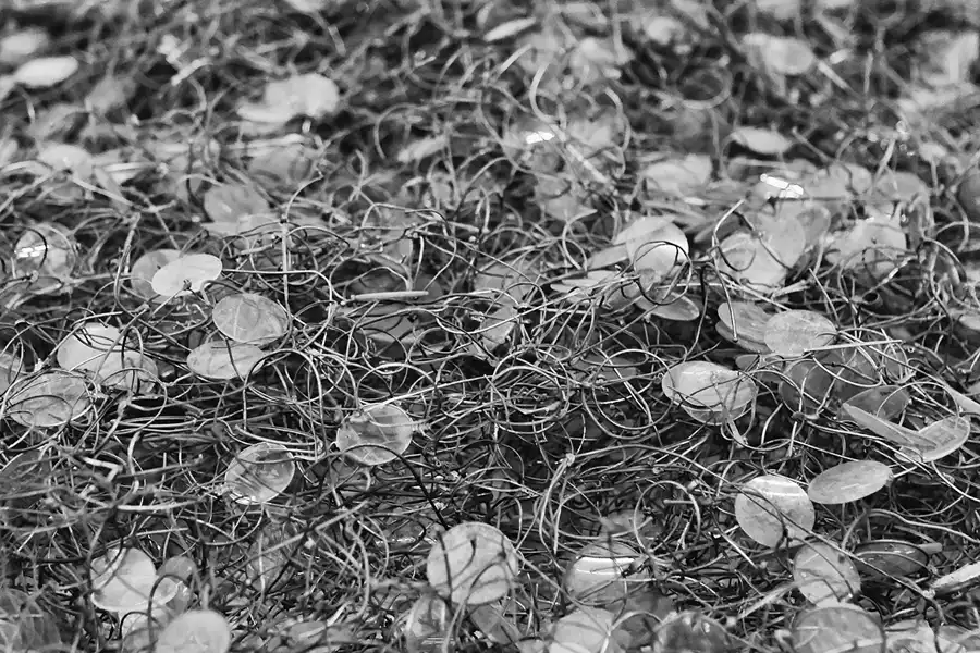 021 | 2014 | Auschwitz | Konzentrationslager Auschwitz I – Stammlager | © carsten riede fotografie
