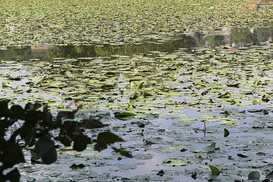 033 | 2014 | Neuzelle | Klosterteich | © carsten riede fotografie