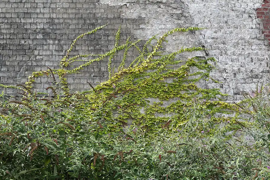 103 | 2014 | Bochum | Westpark | © carsten riede fotografie