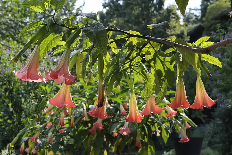 045 | 2014 | Hamm | Maximilianpark | © carsten riede fotografie