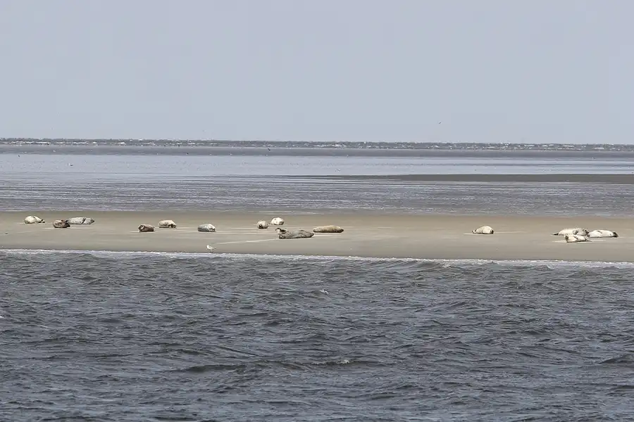 057 | 2014 | Cuxhaven | Seehundbänke | © carsten riede fotografie