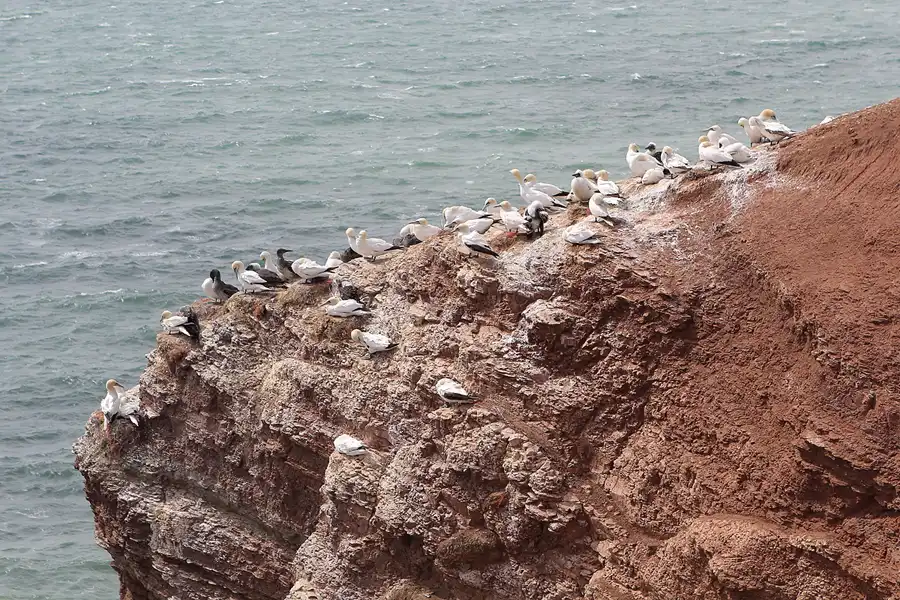 016 | 2014 | Helgoland | © carsten riede fotografie