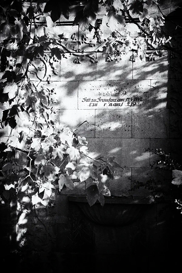 037 | 2014 | Berlin | Jüdischer Friedhof Berlin-Weissensee | © carsten riede fotografie