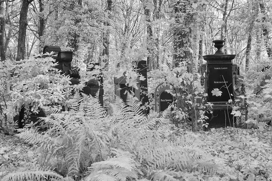 006 | 2014 | Berlin | Jüdischer Friedhof Berlin-Weissensee | © carsten riede fotografie