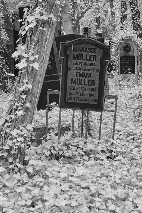 018 | 2014 | Berlin | Jüdischer Friedhof Berlin-Weissensee | © carsten riede fotografie