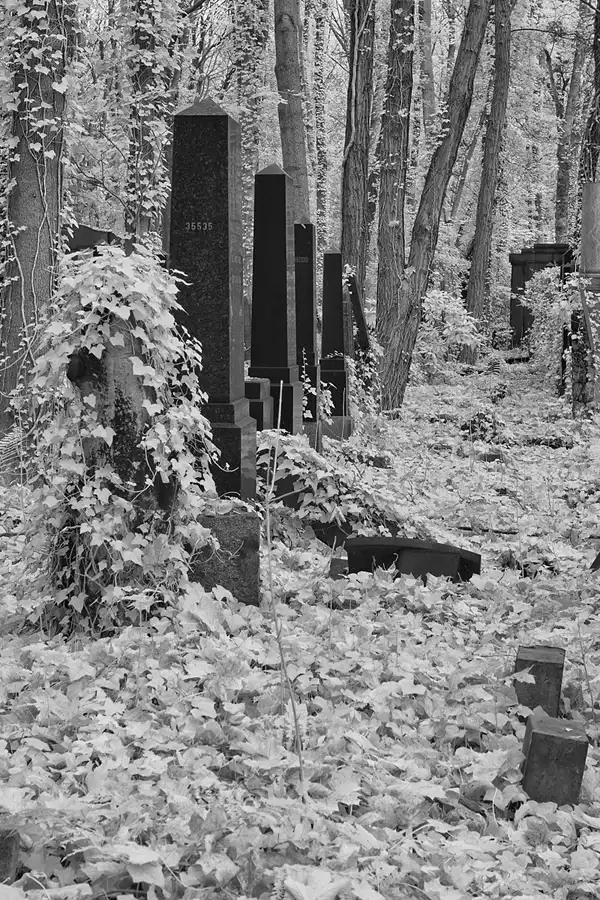 021 | 2014 | Berlin | Jüdischer Friedhof Berlin-Weissensee | © carsten riede fotografie