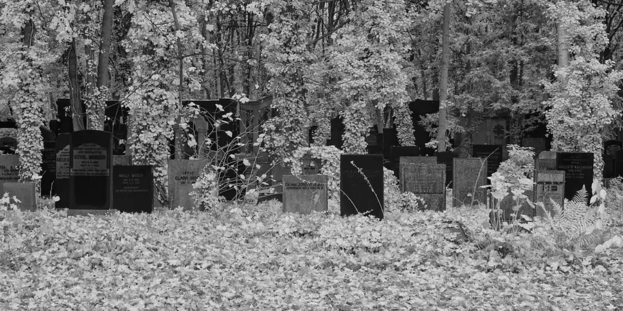 024 | 2014 | Berlin | Jüdischer Friedhof Berlin-Weissensee | © carsten riede fotografie