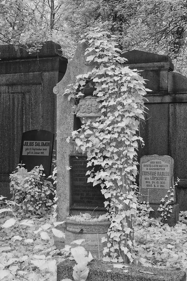 025 | 2014 | Berlin | Jüdischer Friedhof Berlin-Weissensee | © carsten riede fotografie