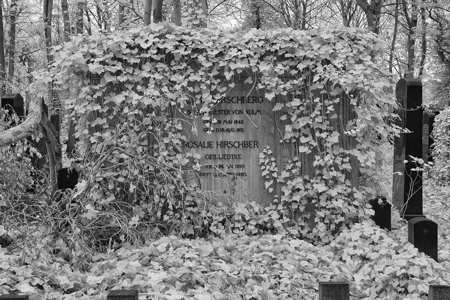 031 | 2014 | Berlin | Jüdischer Friedhof Berlin-Weissensee | © carsten riede fotografie