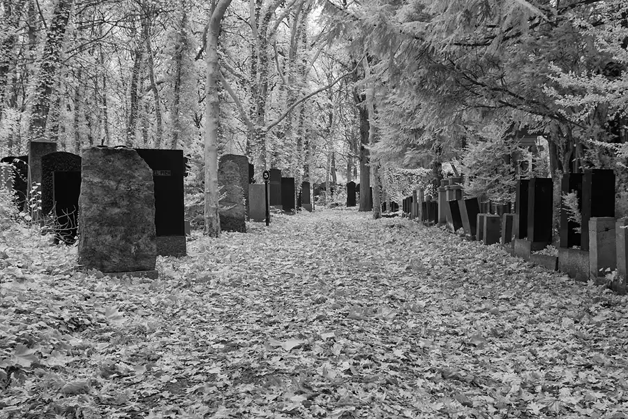 033 | 2014 | Berlin | Jüdischer Friedhof Berlin-Weissensee | © carsten riede fotografie