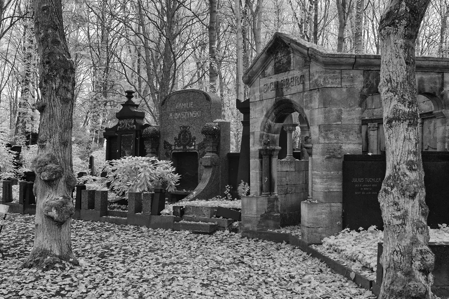 010 | 2014 | Berlin | Jüdischer Friedhof Berlin-Weissensee | © carsten riede fotografie