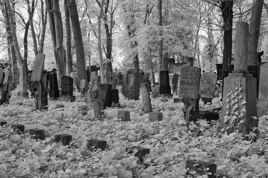 013 | 2014 | Berlin | Jüdischer Friedhof Berlin-Weissensee | © carsten riede fotografie