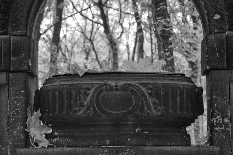 015 | 2014 | Berlin | Jüdischer Friedhof Berlin-Weissensee | © carsten riede fotografie