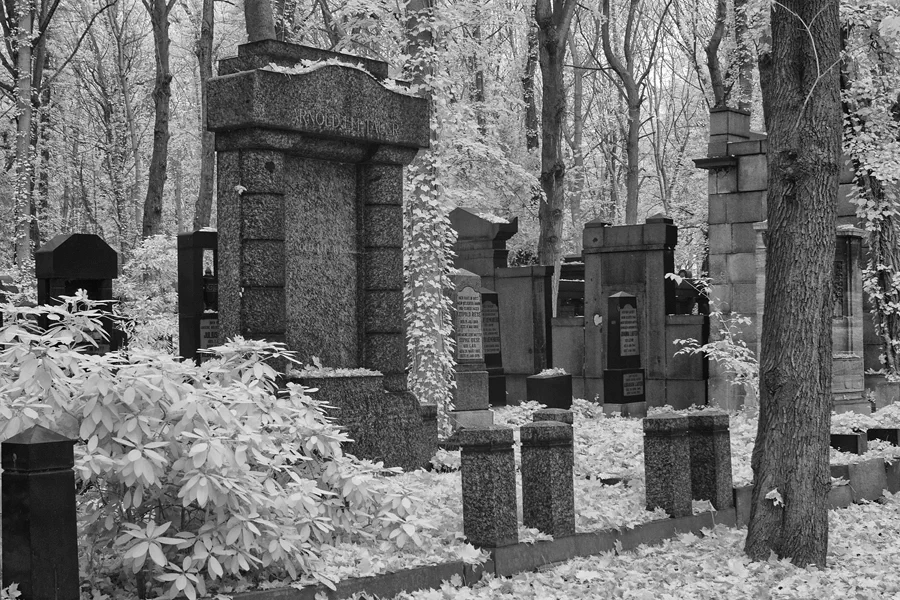 016 | 2014 | Berlin | Jüdischer Friedhof Berlin-Weissensee | © carsten riede fotografie