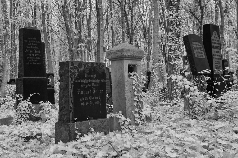 022 | 2014 | Berlin | Jüdischer Friedhof Berlin-Weissensee | © carsten riede fotografie
