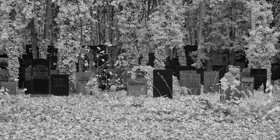 024 | 2014 | Berlin | Jüdischer Friedhof Berlin-Weissensee | © carsten riede fotografie